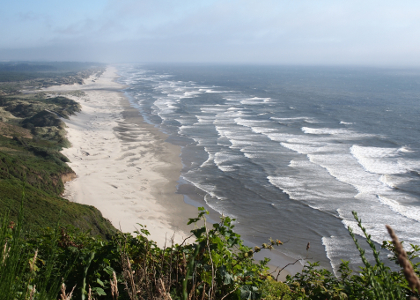 [View from a cliff nearby overlooking a long stretch of sand adjacent to green shoreline. A myriad of shallow waves approach the sand.]